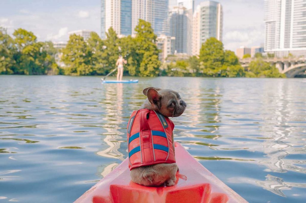 How to choose the best life jacket for fun in the water