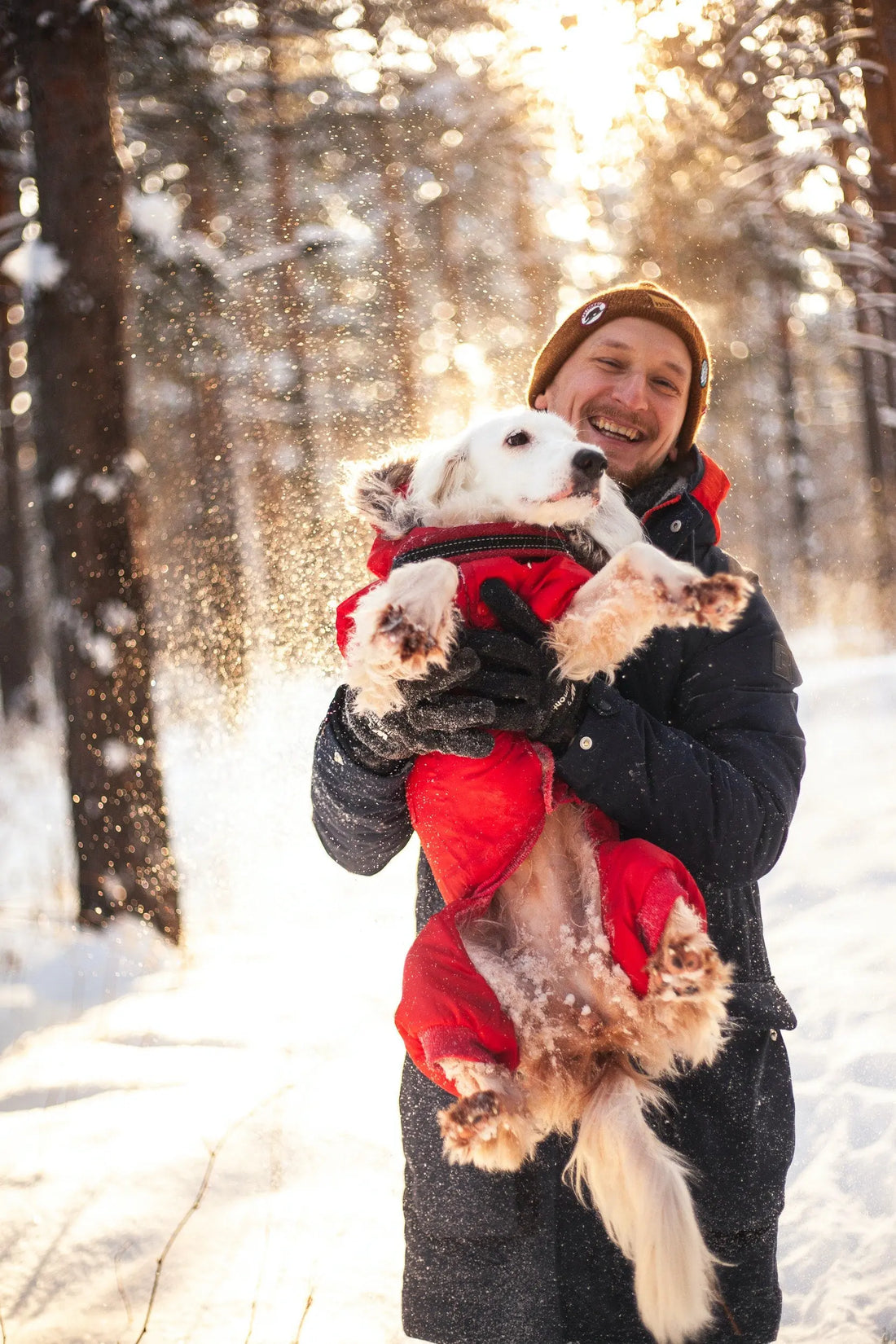 Choosing the Right Clothing and Equipment for Your Dog: A Guide to Enhancing Comfort, Safety, and Style Cosy Pooch