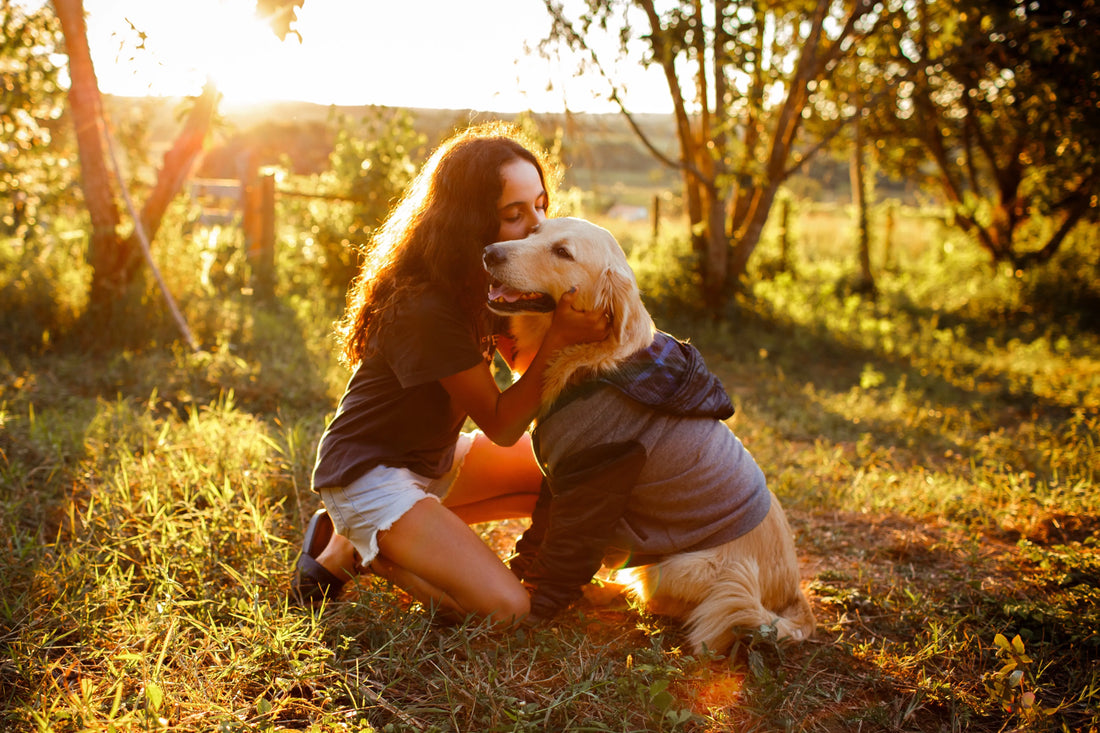 The Ultimate Guide to Responsible Dog Ownership: Avoiding 16 Common Mistakes for a Happy, Healthy Canine Companion Cosy Pooch