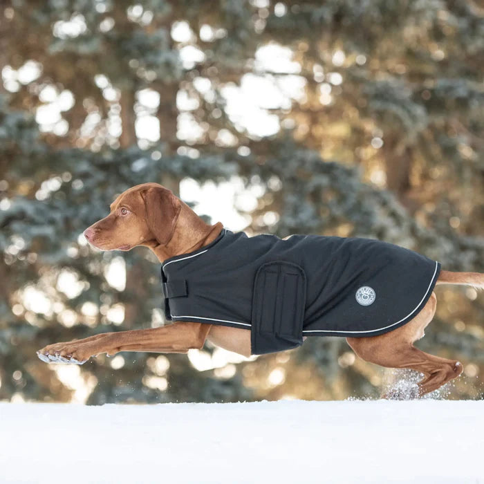 Winter Dog Jackets