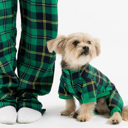 Matching Dog And Owner Pajamas Bundle - Green