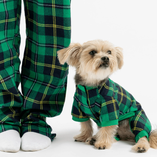 Dog / Parent Pajama Bundle - Green