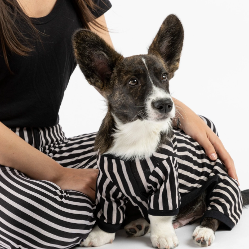 Dog / Parent Pajama Bundle - Stripe