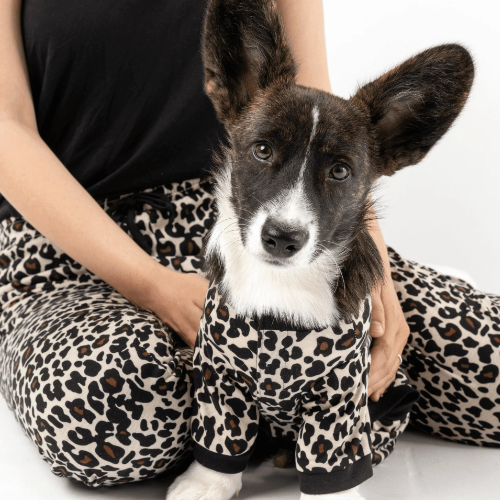 Dog / Parent Pajama Bundle - Leopard