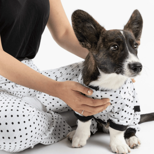 Matching Dog And Owner Pajamas Bundle - Polka Dot