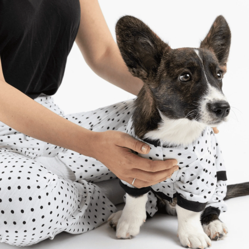 Dog / Parent Pajama Bundle - Polka Dot