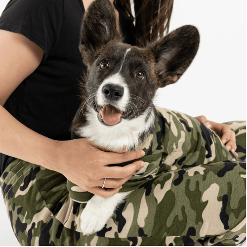 Dog / Parent Pajama Bundle - Camo