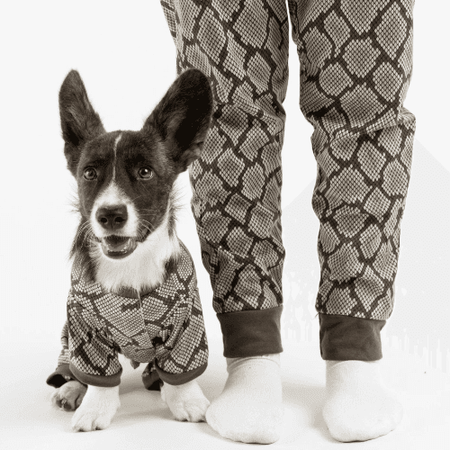 Dog / Parent Pajama Bundle - Snakeskin