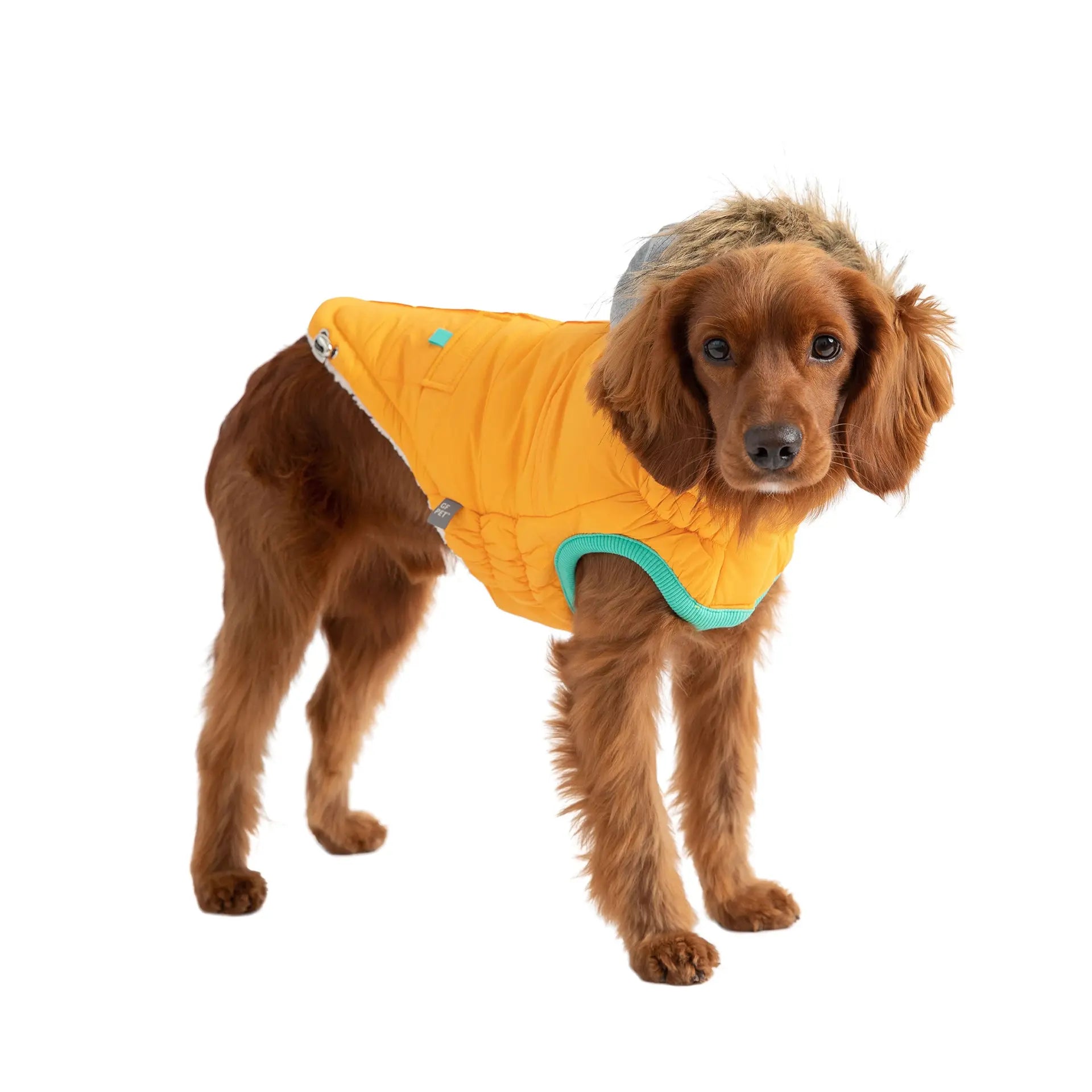 Cosy Pooch Winter Sailor Parka - Yellow