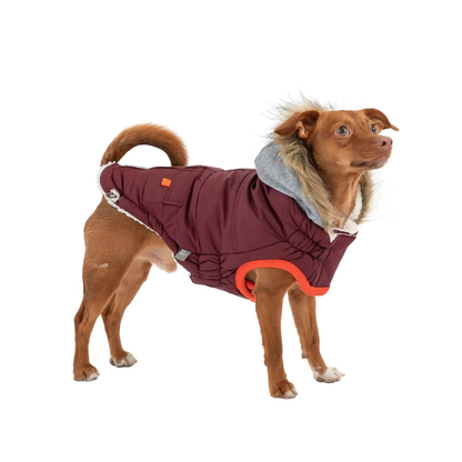 Cosy Pooch Winter Sailor Parka - Burgundy