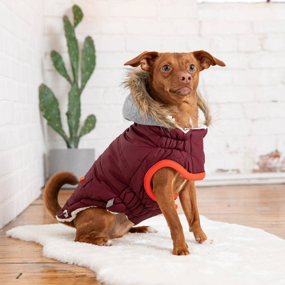 Cosy Pooch Winter Sailor Parka - Burgundy