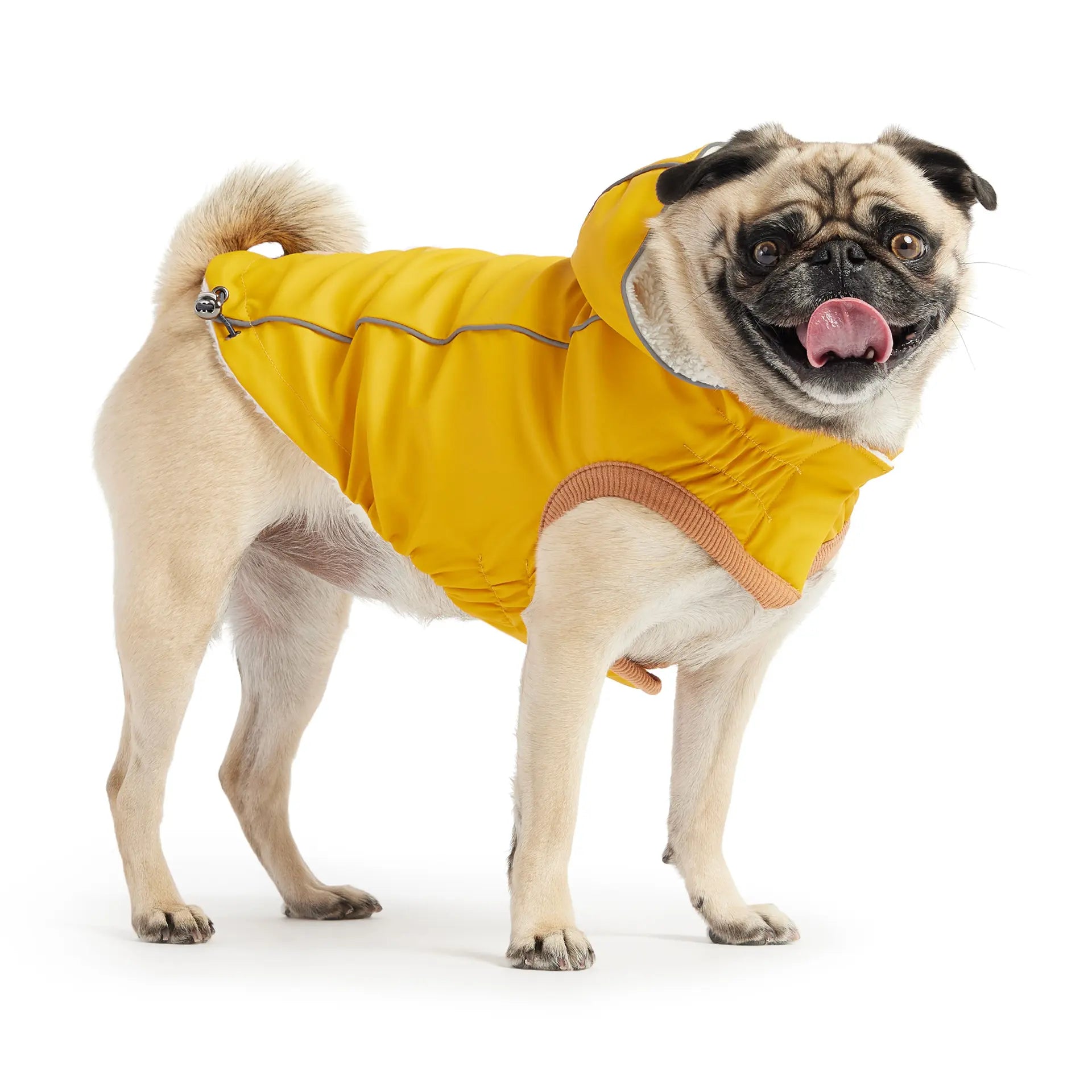 Cosy Pooch Insulated Raincoat - Yellow