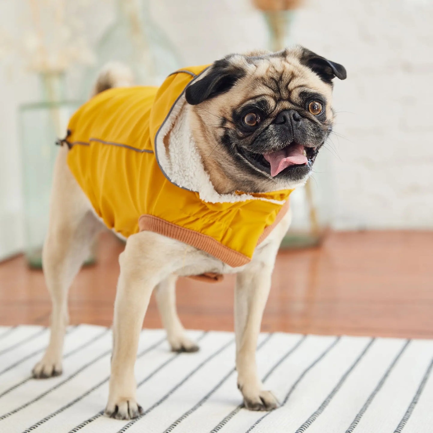 Cosy Pooch Insulated Raincoat - Yellow