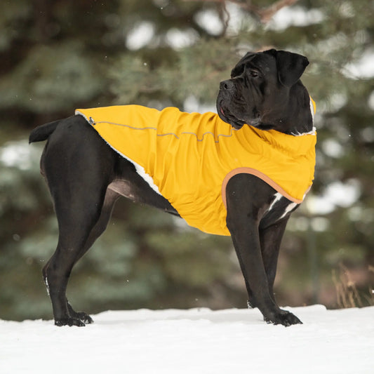 Cosy Pooch Insulated Raincoat - Yellow