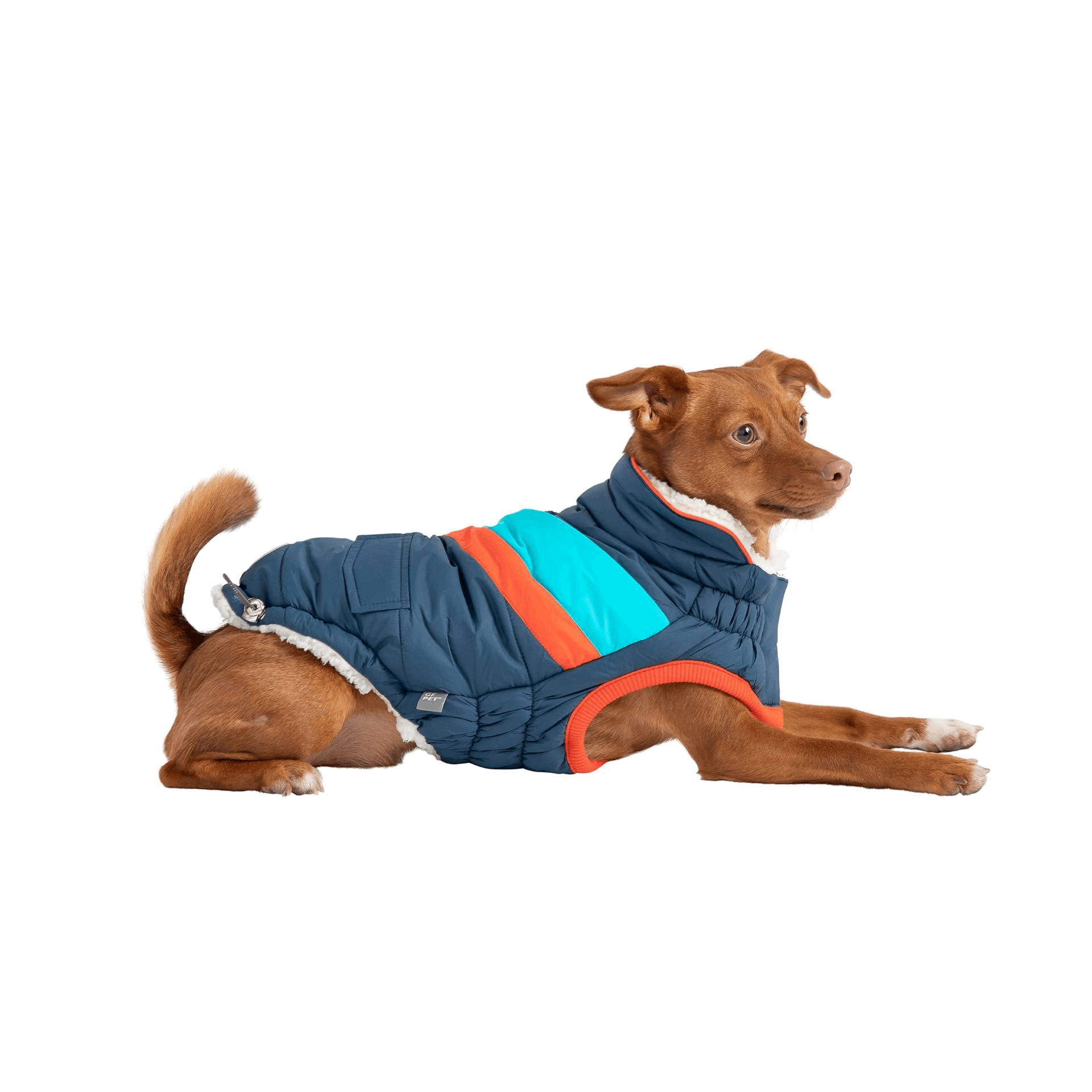 Cosy Pooch Alpine Puffer - Dark Blue