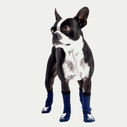 Compression Dog Socks - Blue