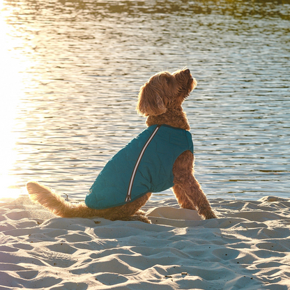 Eco-friendly dog jacket