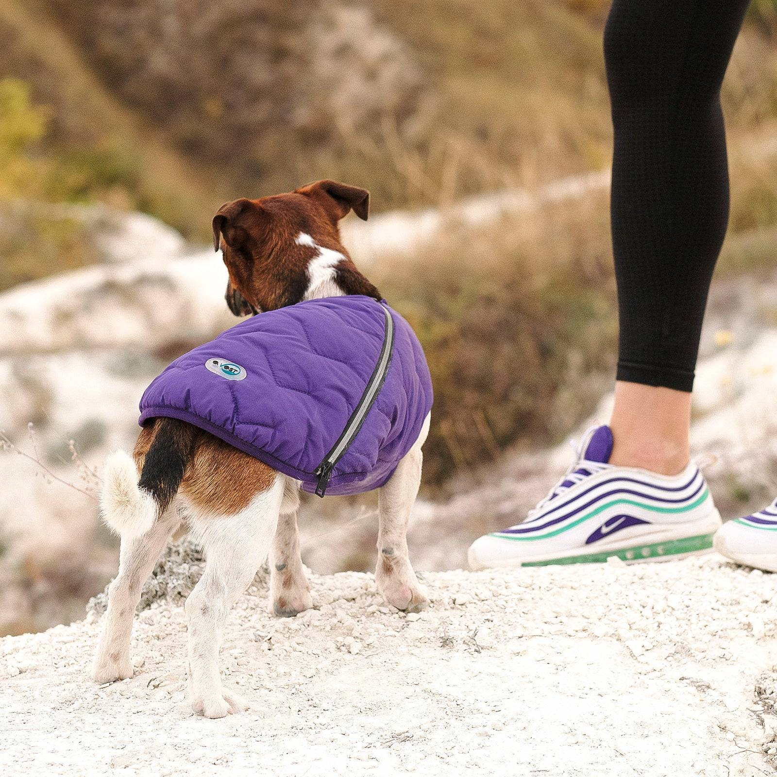 Eco-friendly dog jacket