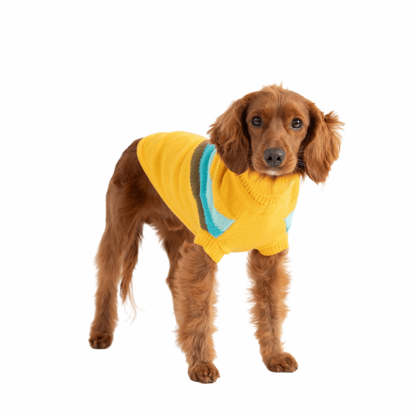 Cosy Pooch Alpine Sweater - Yellow