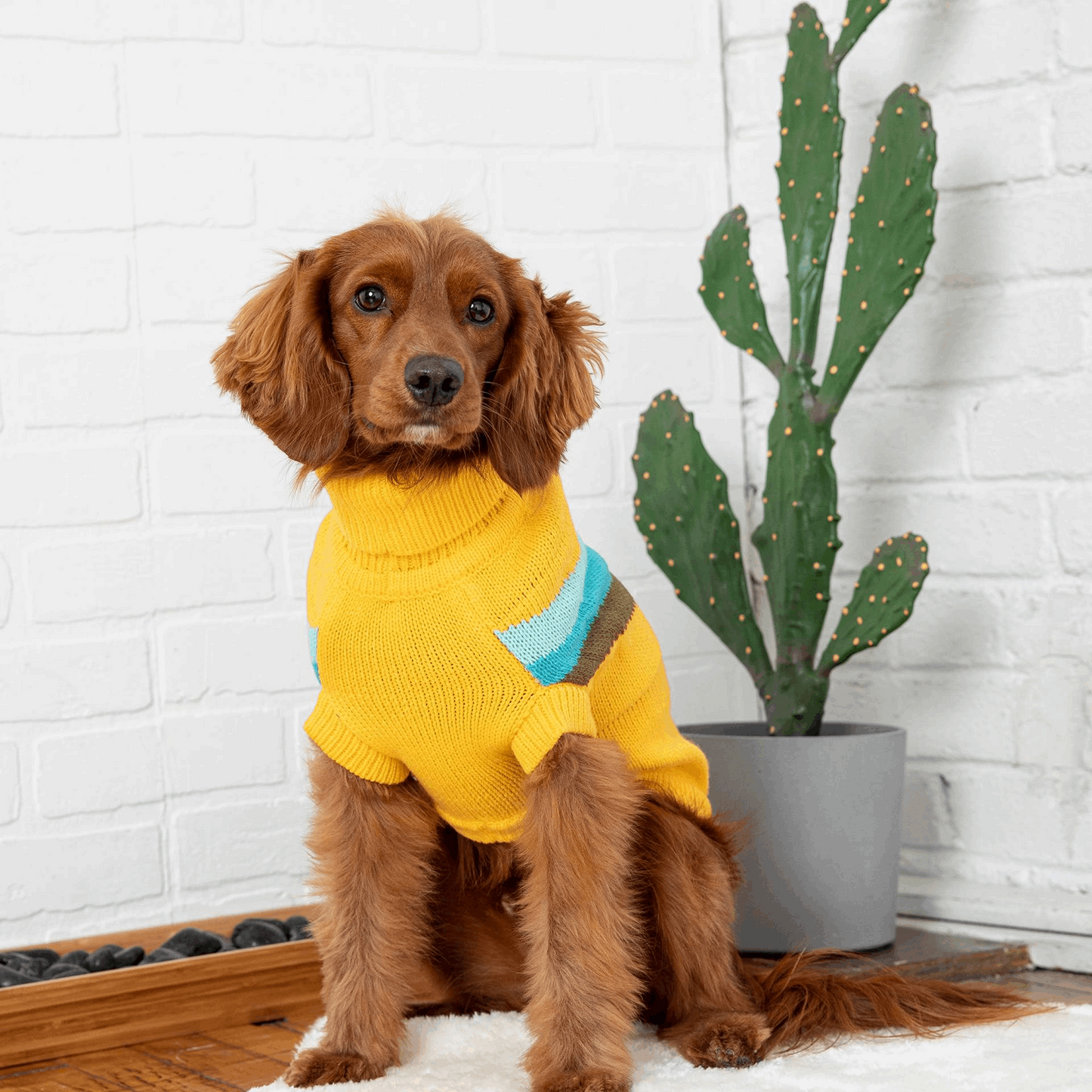 Cosy Pooch Alpine Sweater - Yellow