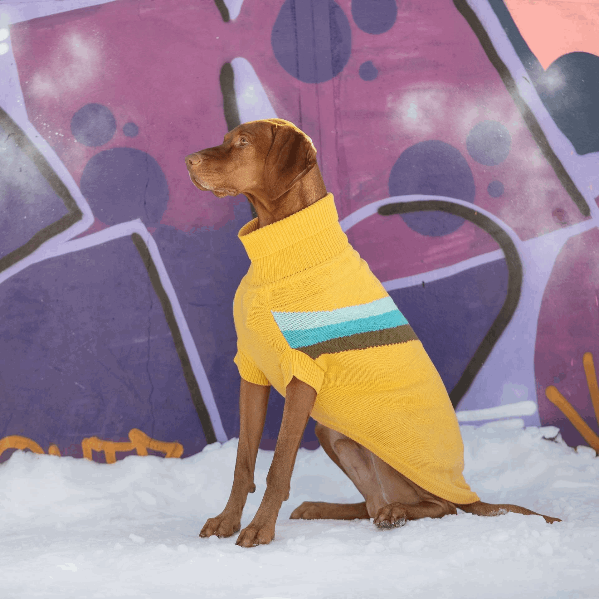 Cosy Pooch Alpine Sweater - Yellow