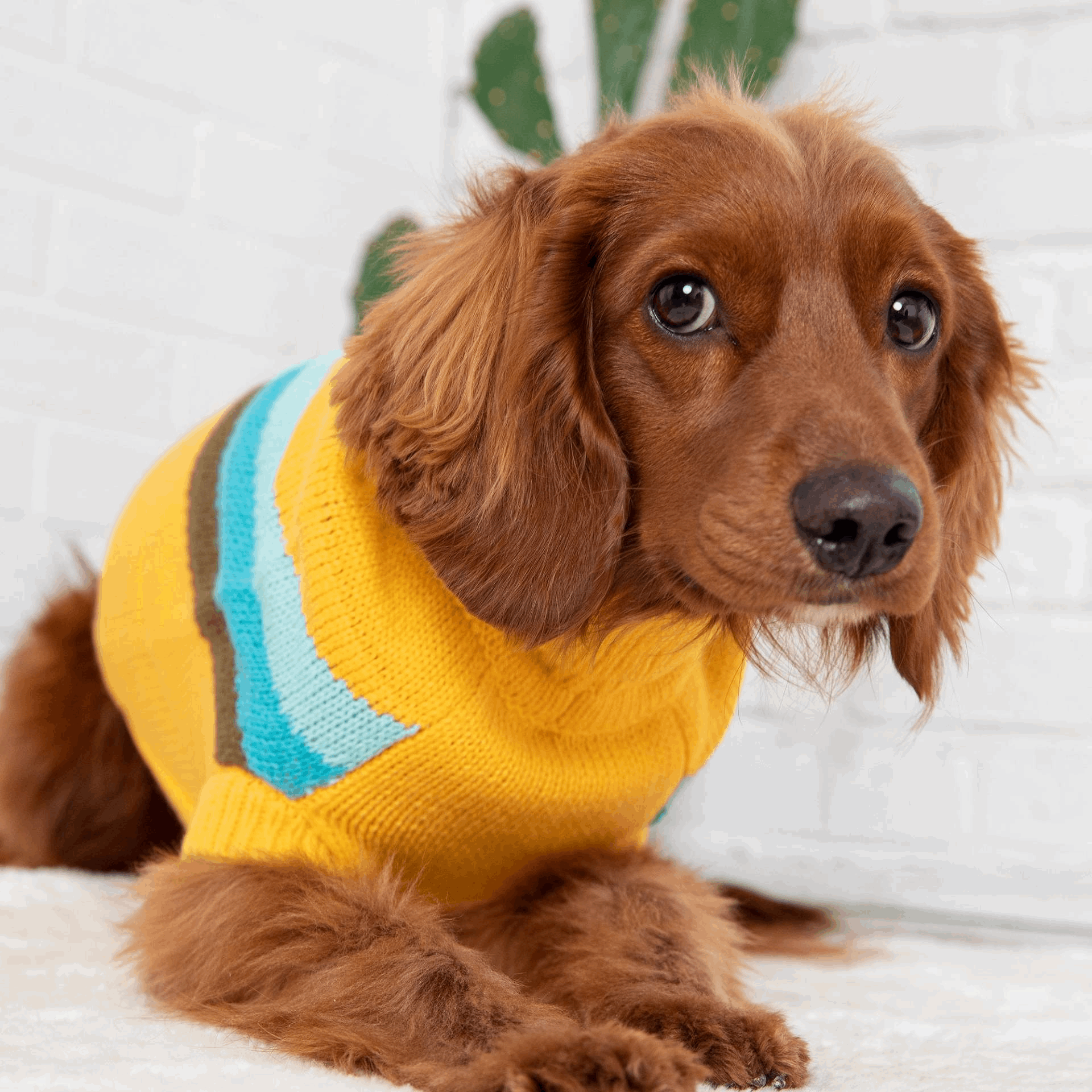 Cosy Pooch Alpine Sweater - Yellow