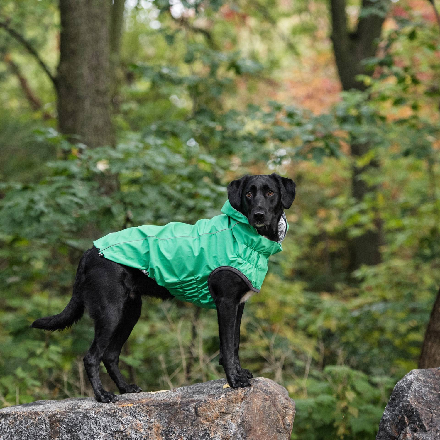 Cosy Pooch Reversible Elasto-Fit Raincoat - Green