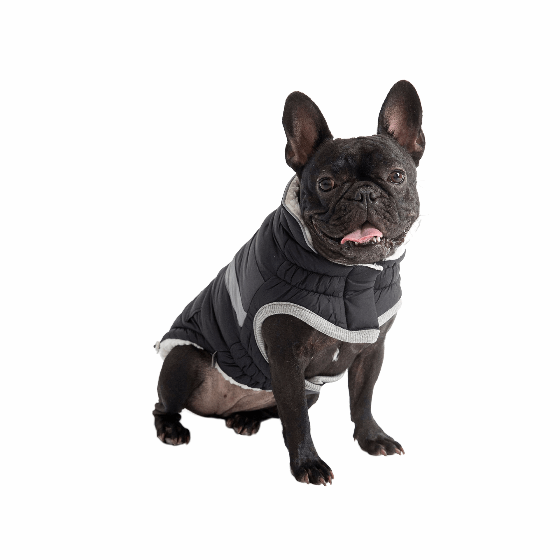 Cosy Pooch Alpine Puffer - Black