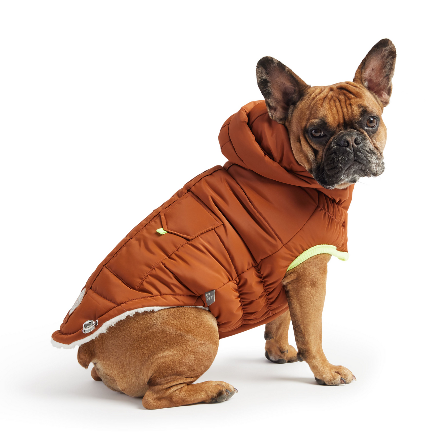 Super Puff Dog Parka - Hazel