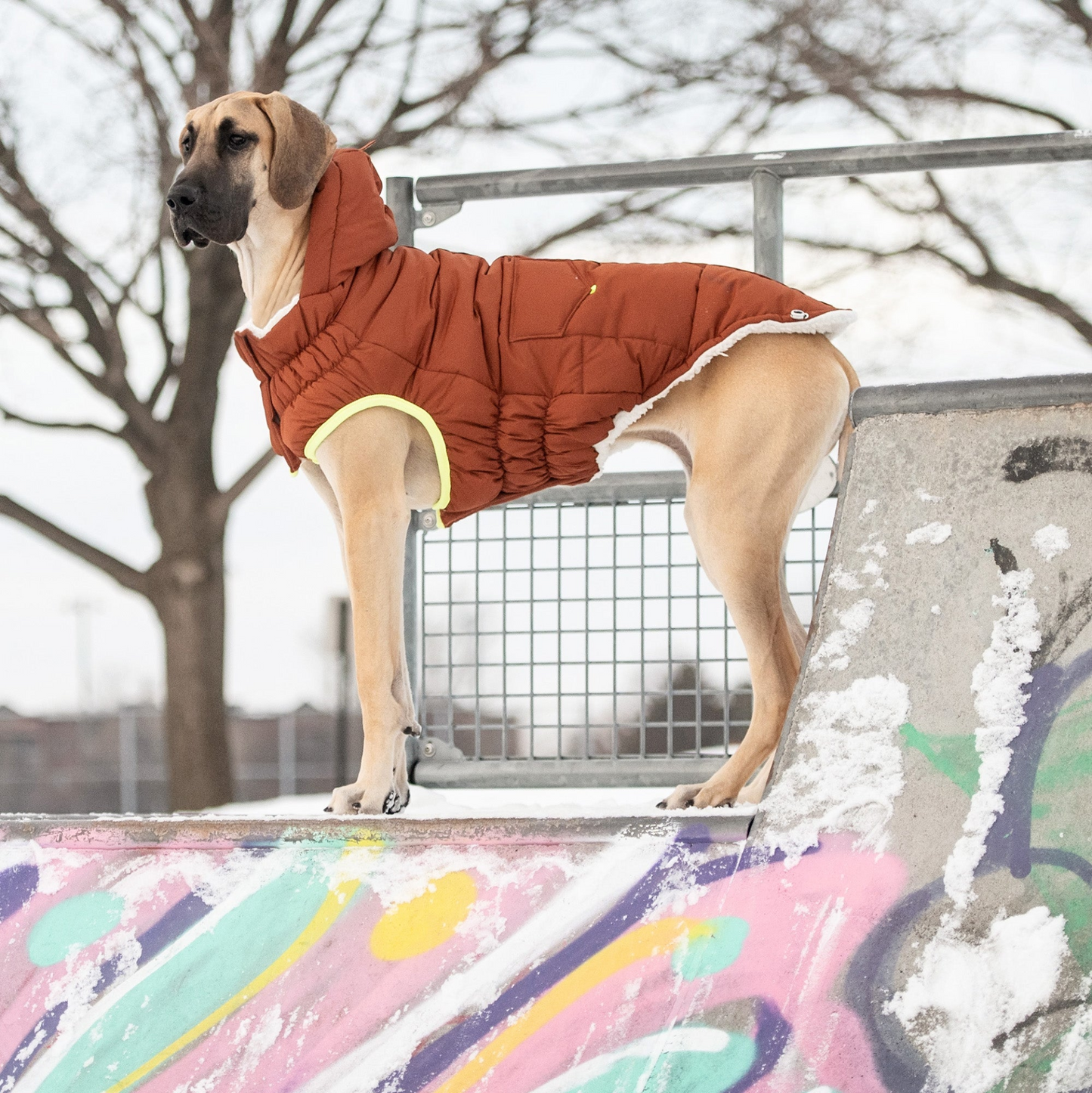 Super Puff Dog Parka - Hazel