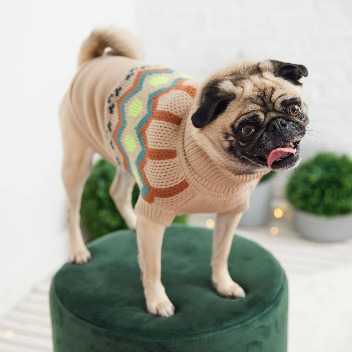 Cosy Pooch Heritage Sweater - Sand