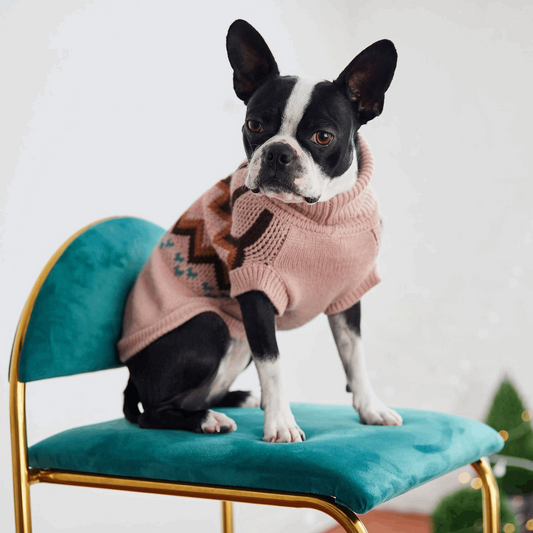 Cosy Pooch Heritage Sweater - Pink