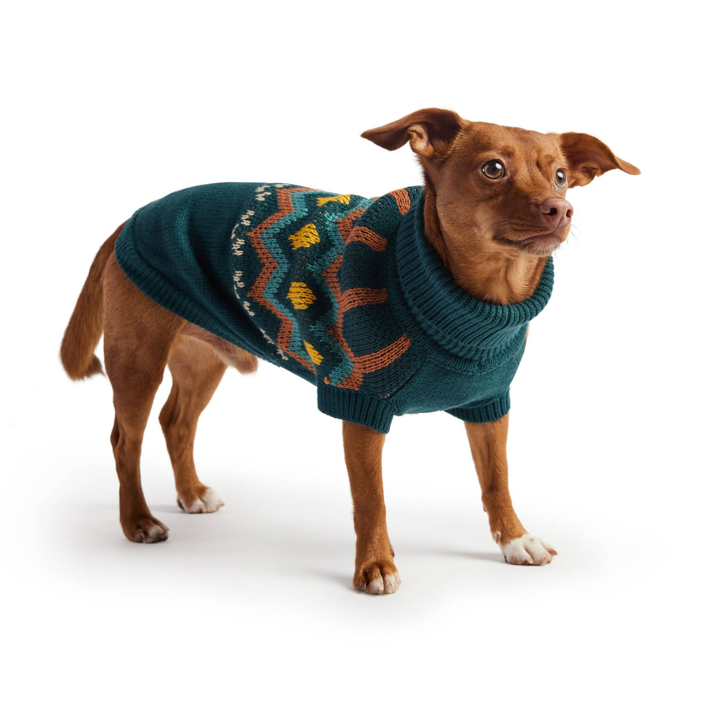 Cosy Pooch Heritage Sweater - Teal