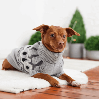 warm dog sweater