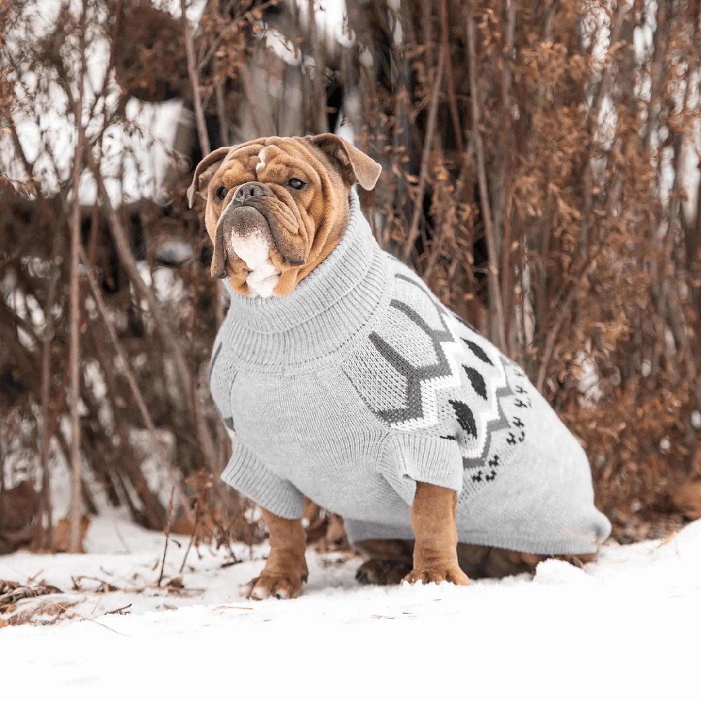 knitted dog sweater grey