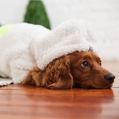 dog hoodie - White