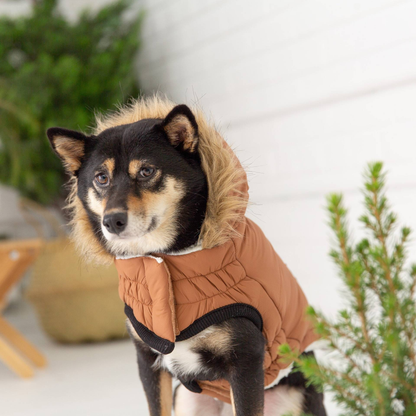 Cosy Pooch Urban Parka - Caramel