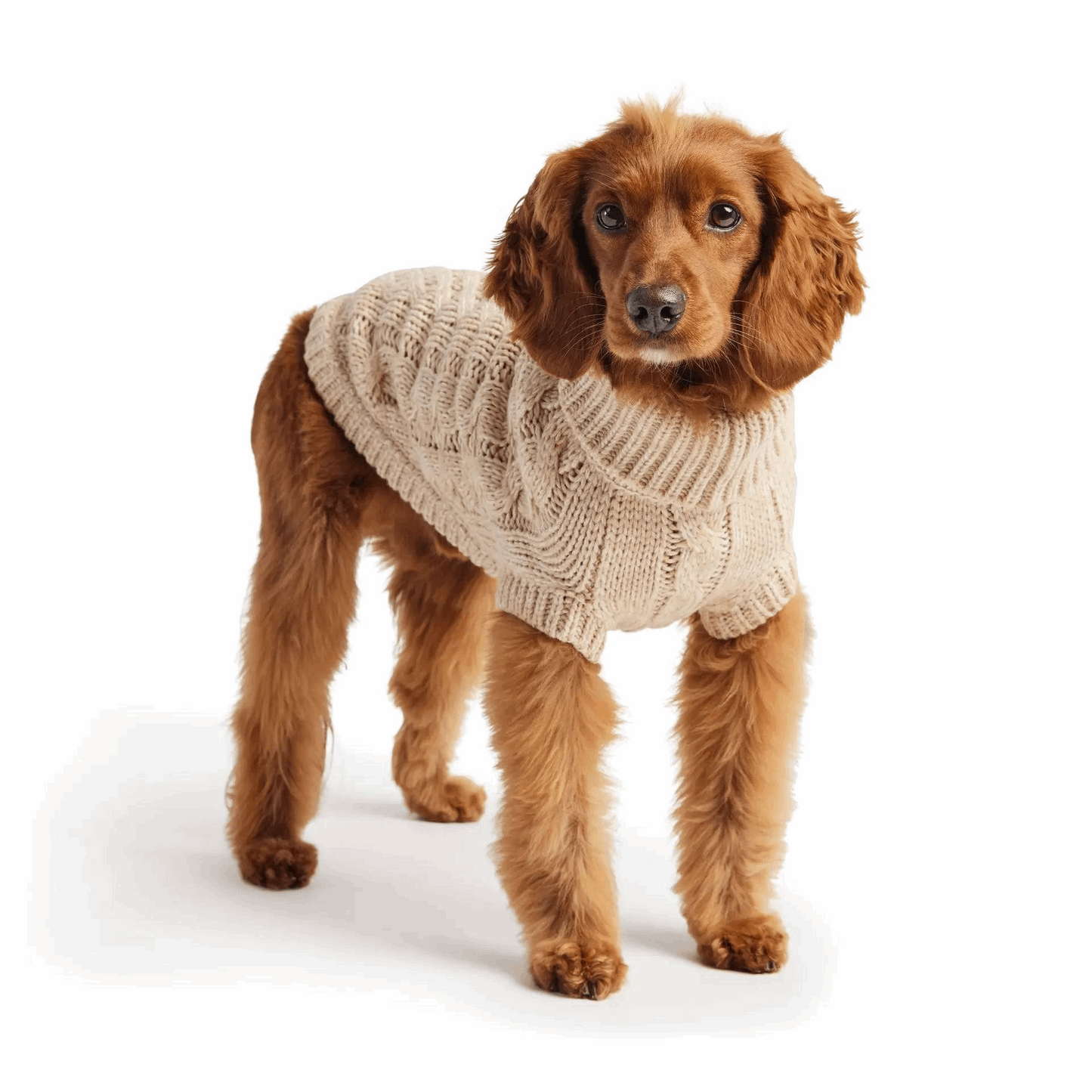 Cosy Pooch Chalet Sweater - Oatmeal