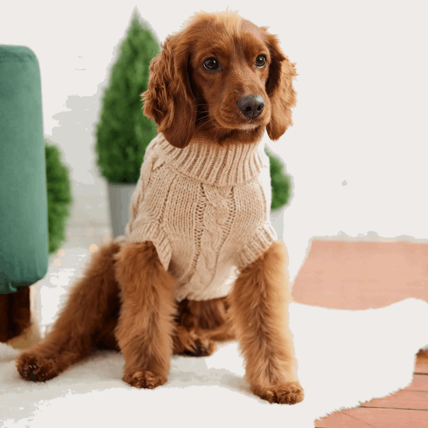 Cosy Pooch Chalet Sweater - Oatmeal