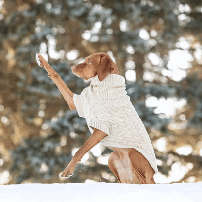 Cosy Pooch Chalet Sweater - Oatmeal