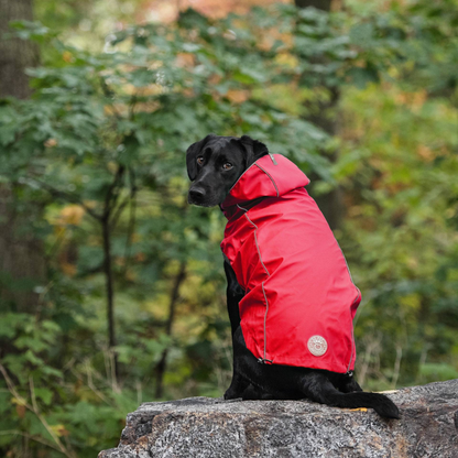 Cosy Pooch Reversible Elasto-Fit Raincoat - Red