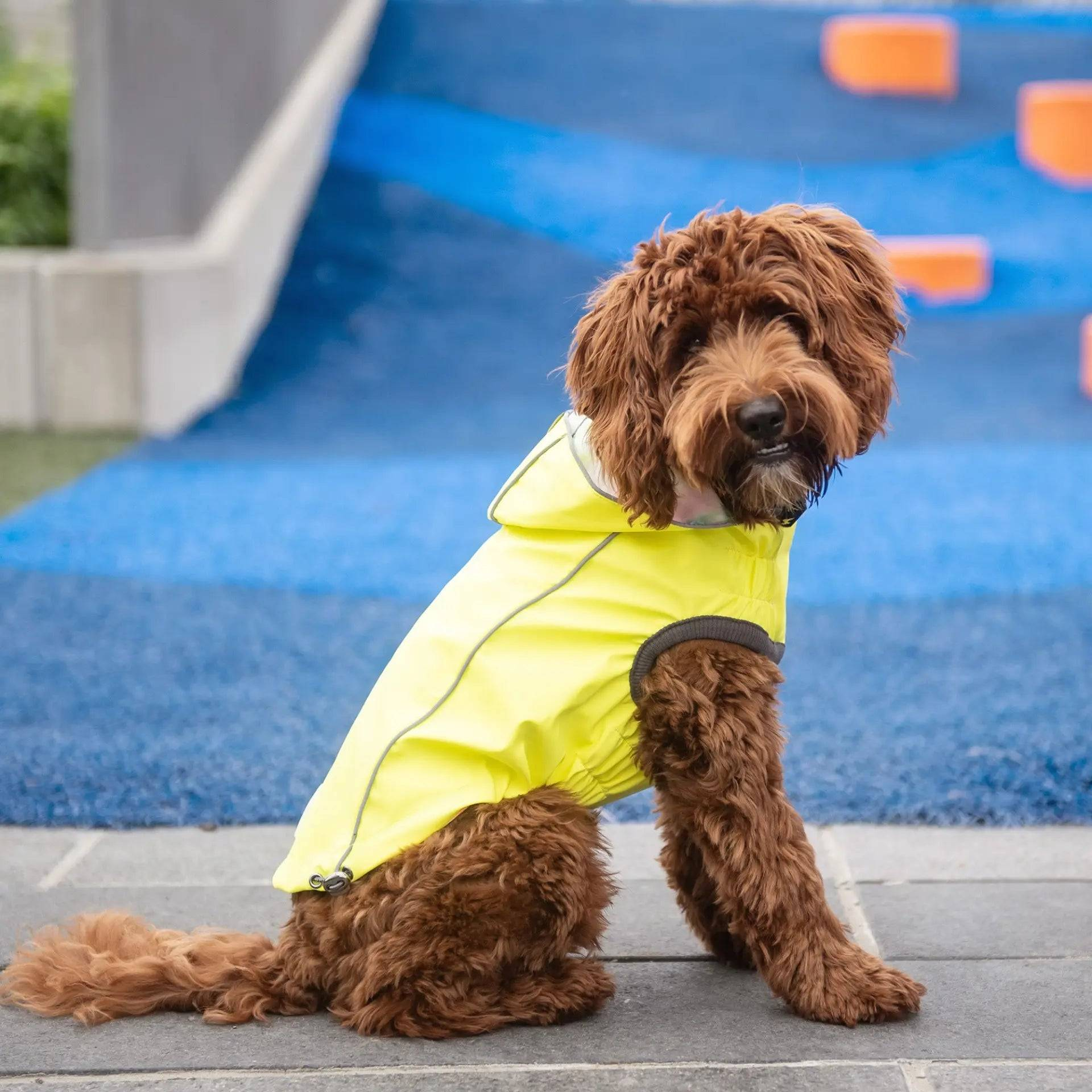 Cosy Pooch Reversible Raincoat - Neon Yellow with Tie Dye