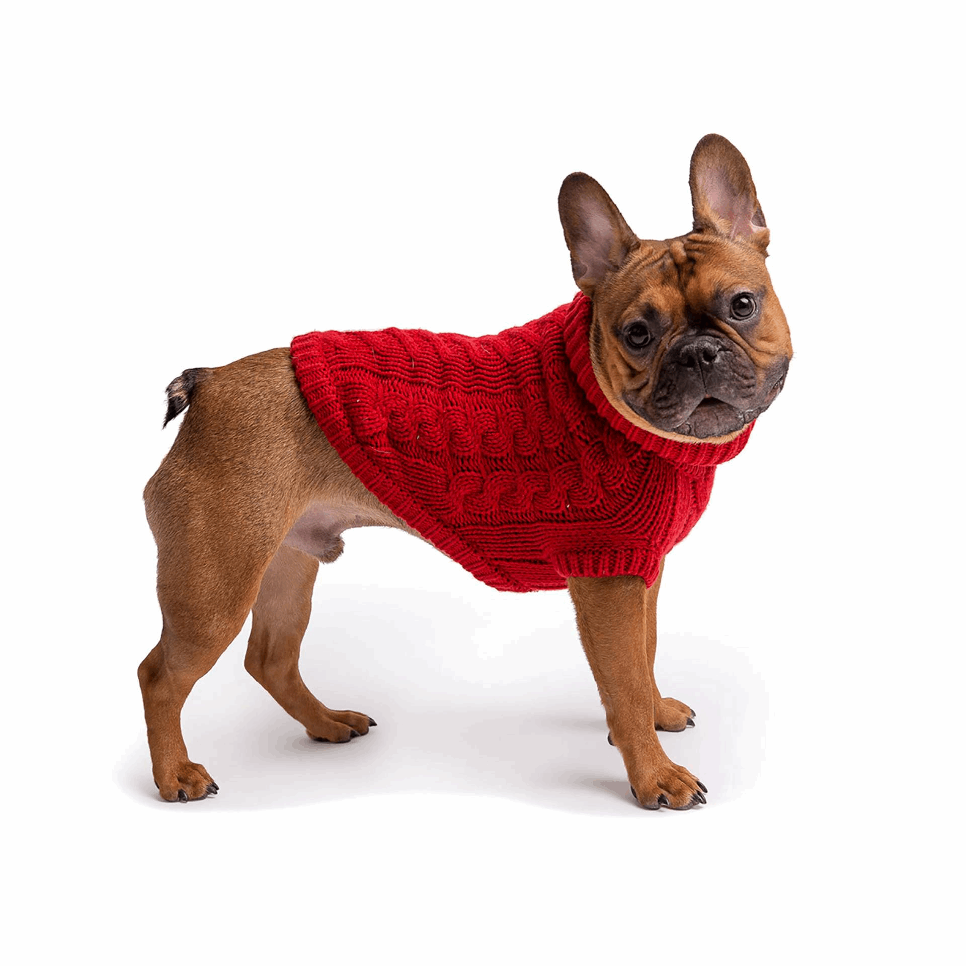 Cosy Pooch Chalet Sweater - Red