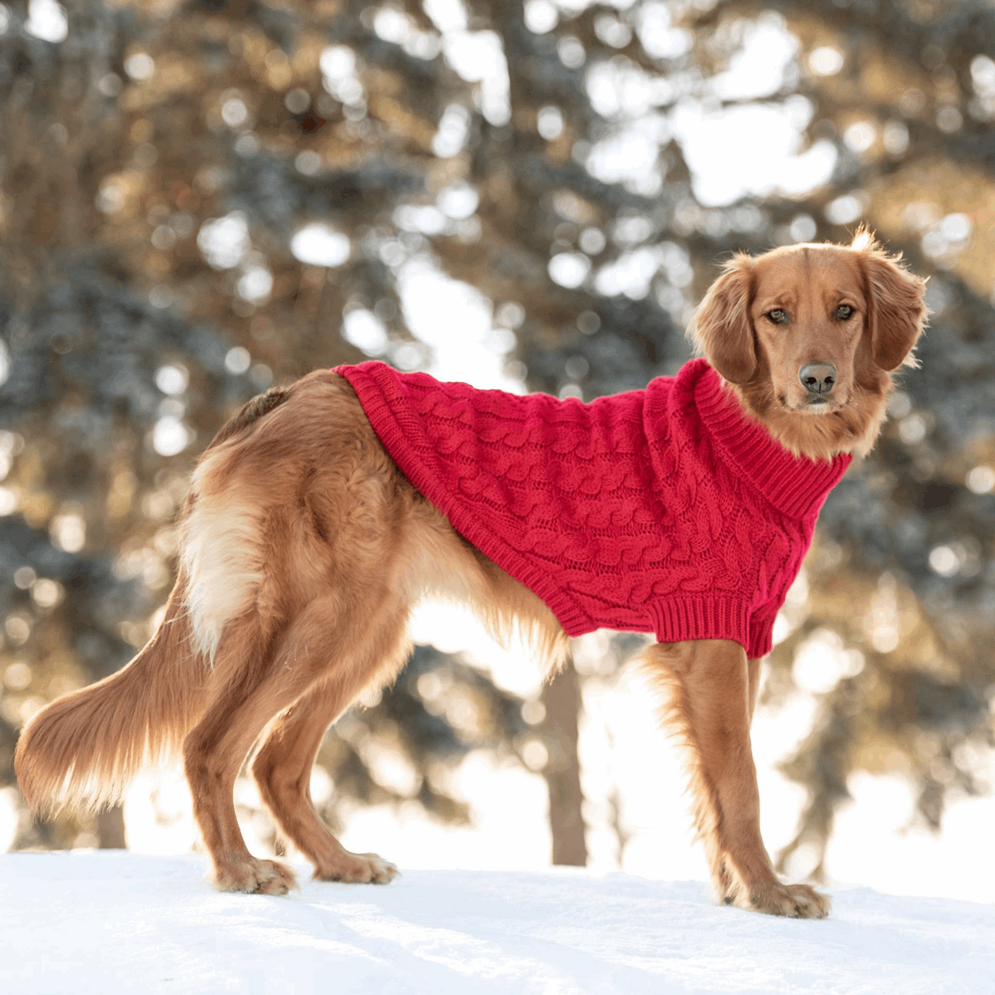 Cosy Pooch Chalet Sweater - Red