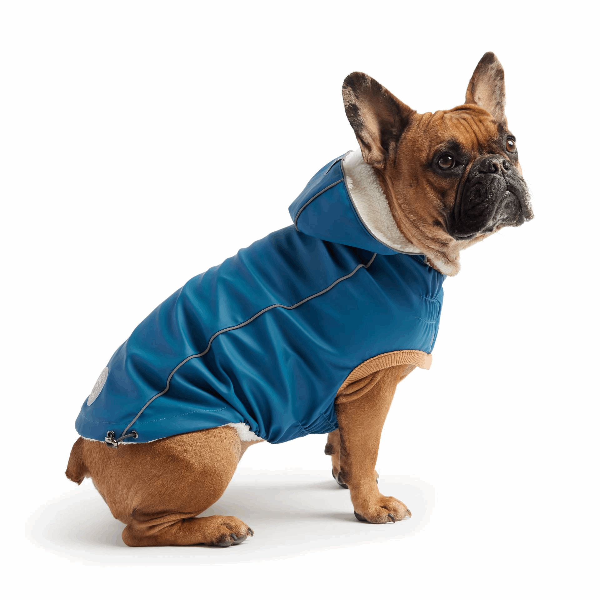 Cosy Pooch Insulated Raincoat - Dark Blue