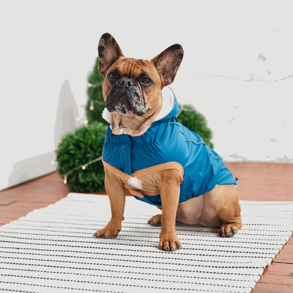 Cosy Pooch Insulated Raincoat - Dark Blue