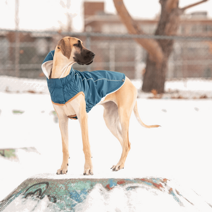 Cosy Pooch Insulated Raincoat - Dark Blue