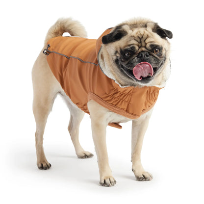 Cosy Pooch Insulated Raincoat - Hazel