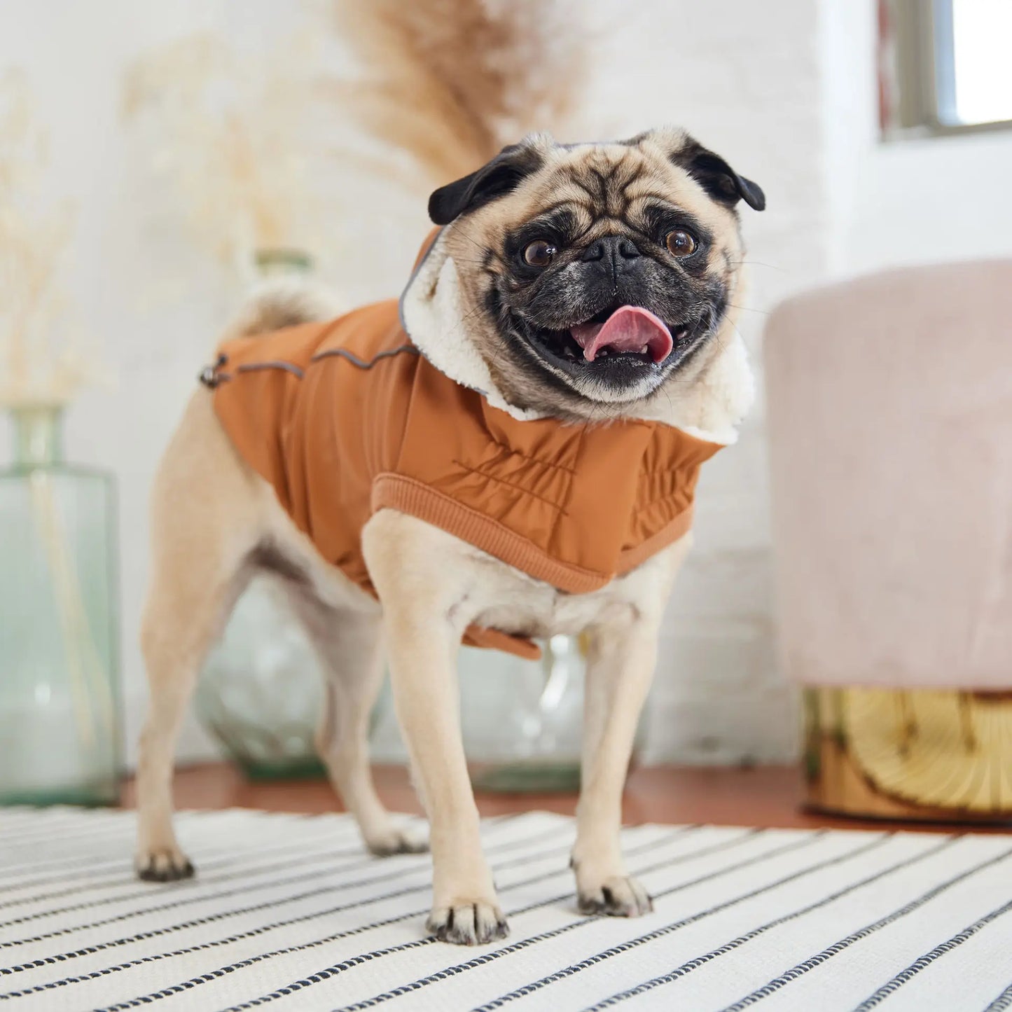 Cosy Pooch Insulated Raincoat - Hazel