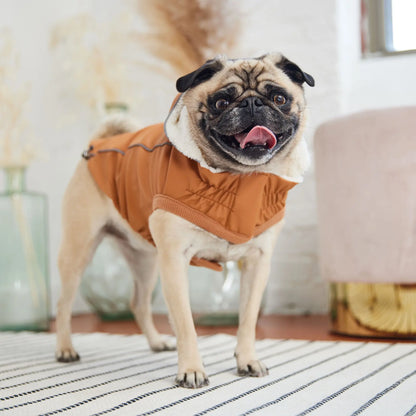 Cosy Pooch Insulated Raincoat - Hazel